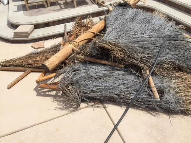 Expert lawn care service in Las Vegas, NV by Arizona Falls