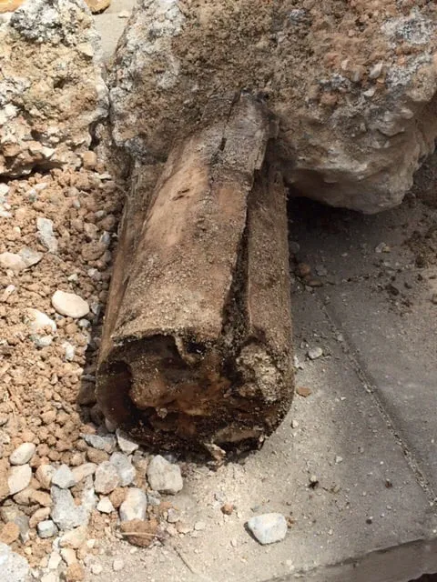 Reliable landscape design in Las Vegas, NV - Arizona Falls