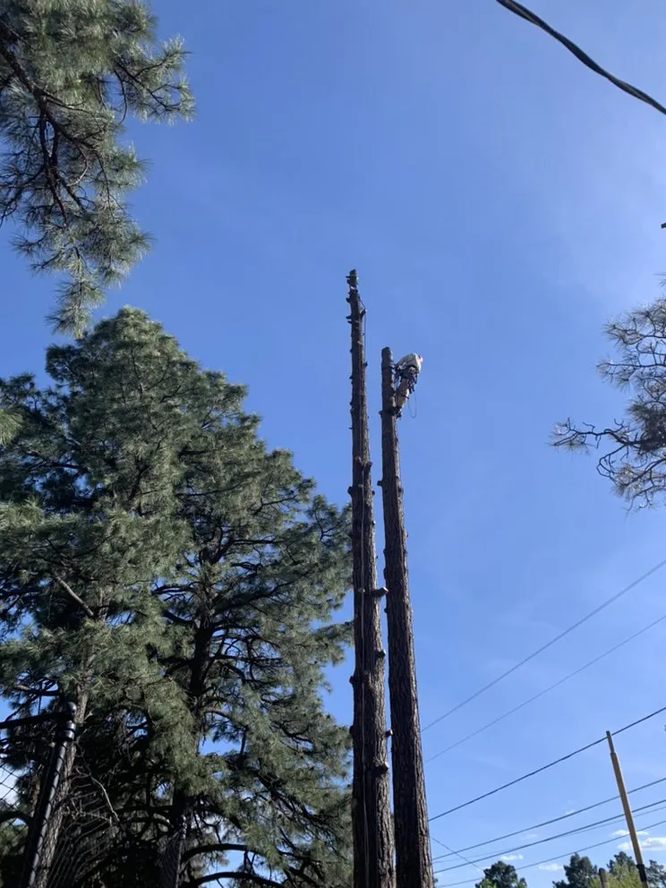 Professional residential landscaping in Flagstaff, AZ by Arizona Fire Defense