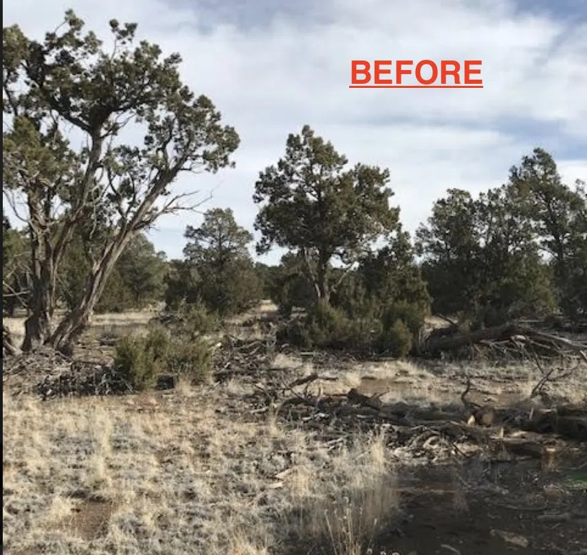 Professional garden landscaping in Flagstaff, AZ - Arizona Fire Defense