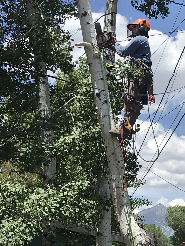 Professional residential landscaping with custom design in Flagstaff, AZ by Arizona Fire Defense
