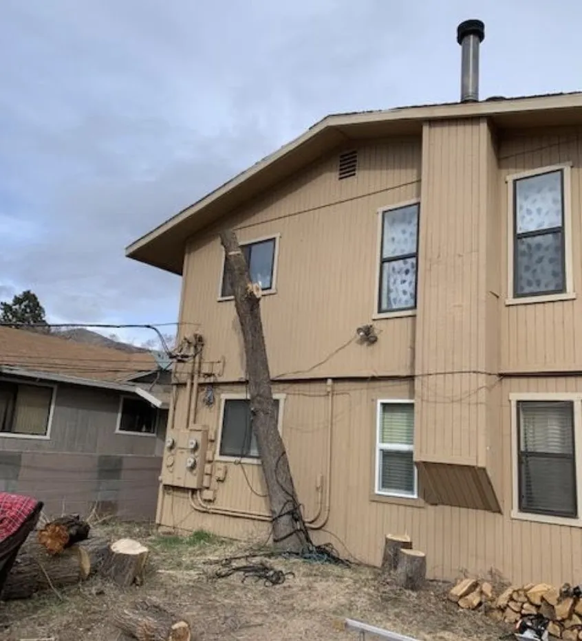 Top-rated landscape design for residential properties across Flagstaff, AZ - Arizona Fire Defense