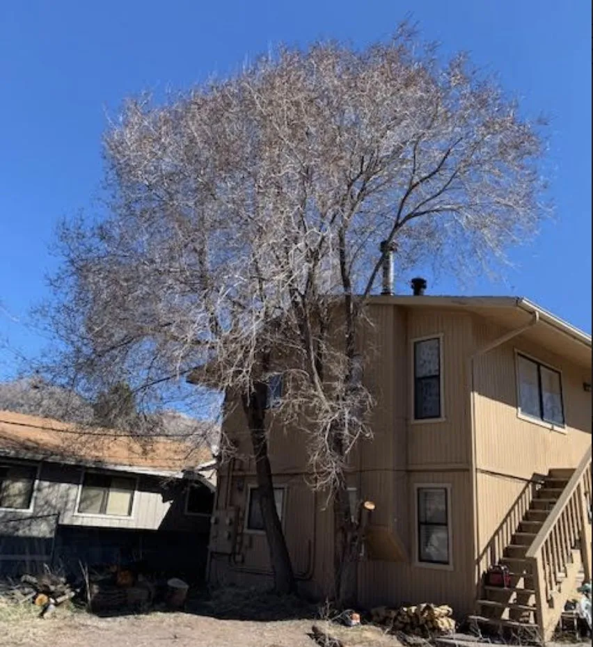 Reliable garden landscaping in Flagstaff, AZ by Arizona Fire Defense