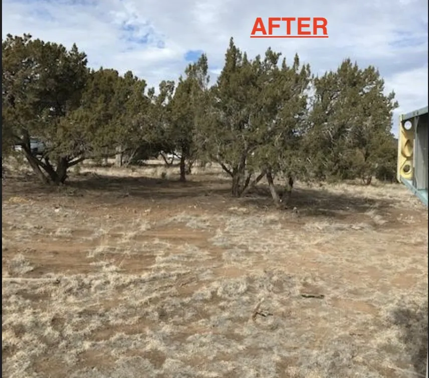 Expert garden landscaping experts serving Flagstaff, AZ - Arizona Fire Defense
