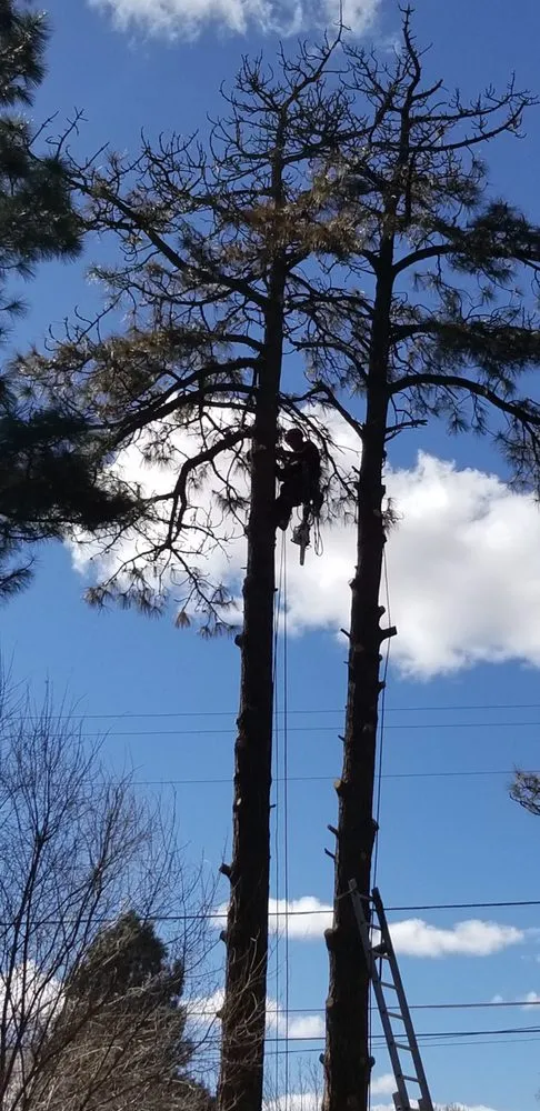 Expert landscaping services in Flagstaff, AZ - Arizona Fire Defense