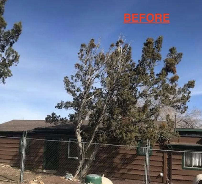 Reliable outdoor landscaping near you in Flagstaff, AZ by Arizona Fire Defense