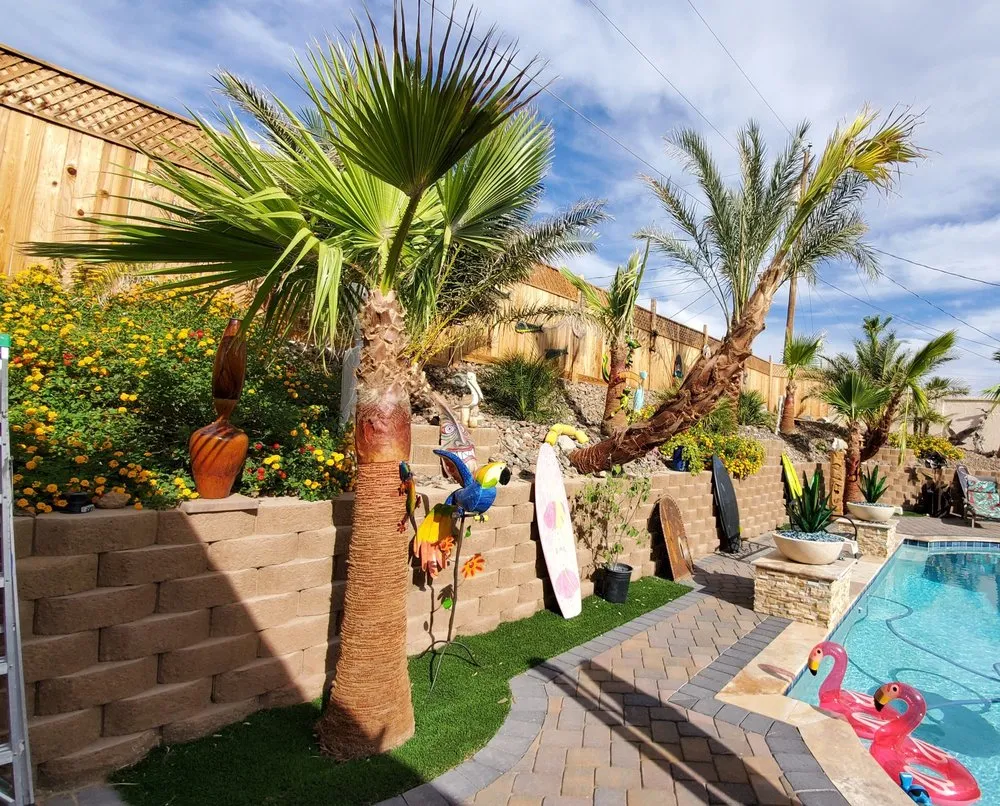 Expert landscape installation in Lake Havasu City, AZ - Arizona Garden Nursery & Landscaping