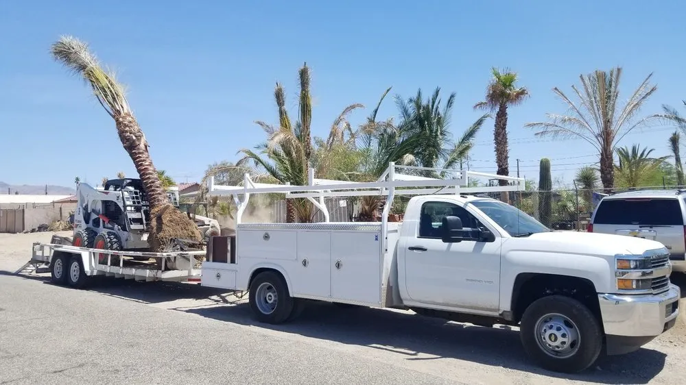 Professional garden landscaping near you in Lake Havasu City, AZ by Arizona Garden Nursery & Landscaping