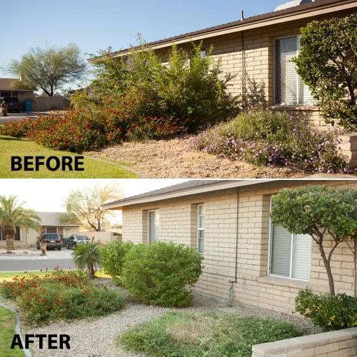 Expert lawn mowing service in Phoenix, AZ - Arizona Ground Control