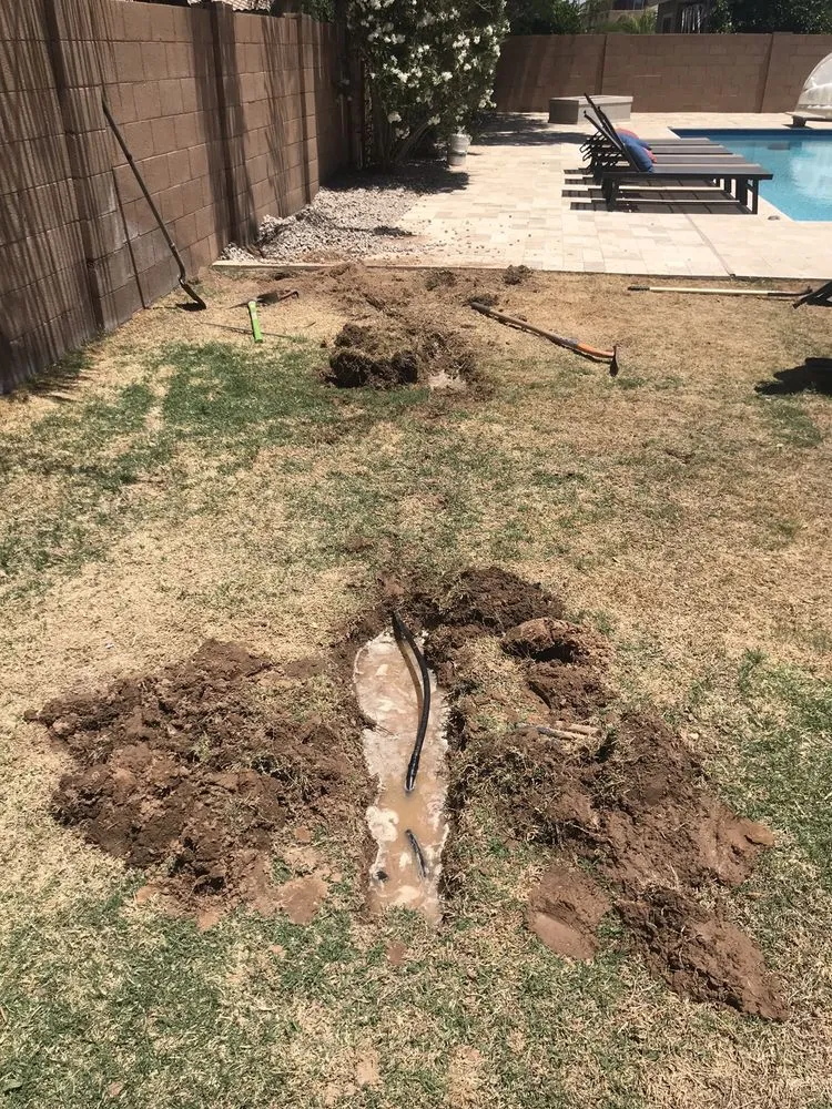 Trusted lawn care service in Chandler, AZ - Arizona Home and Landscape