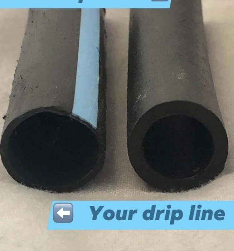 Trusted yard maintenance in Chandler, AZ by Arizona Home and Landscape