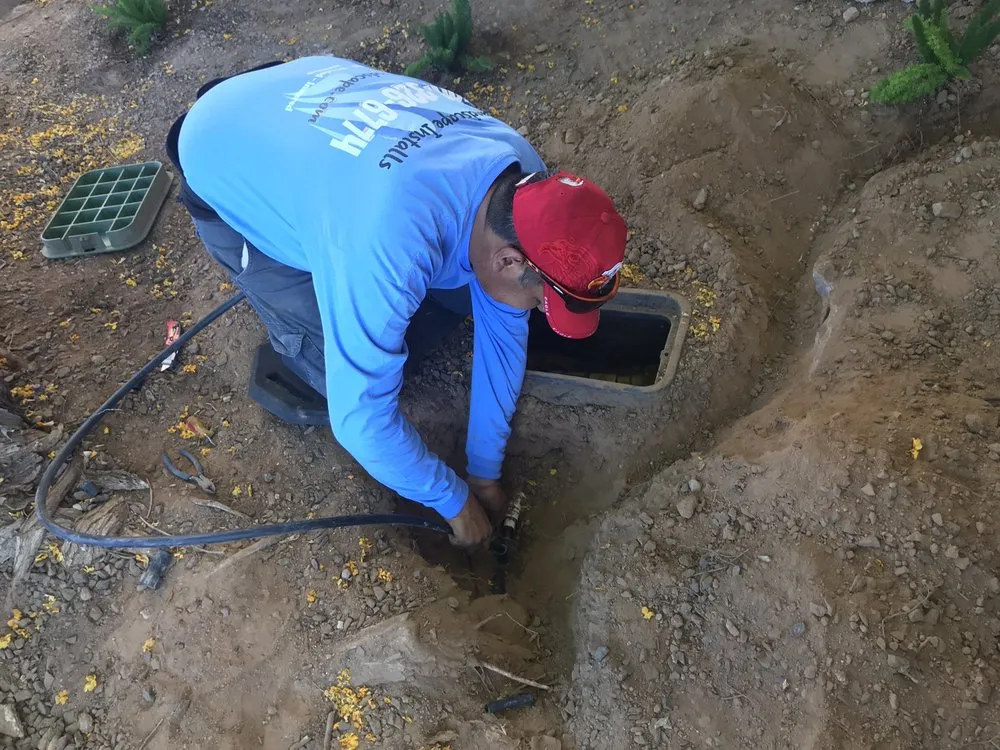 Reliable yard cleanup service experts serving Chandler, AZ - Arizona Home and Landscape