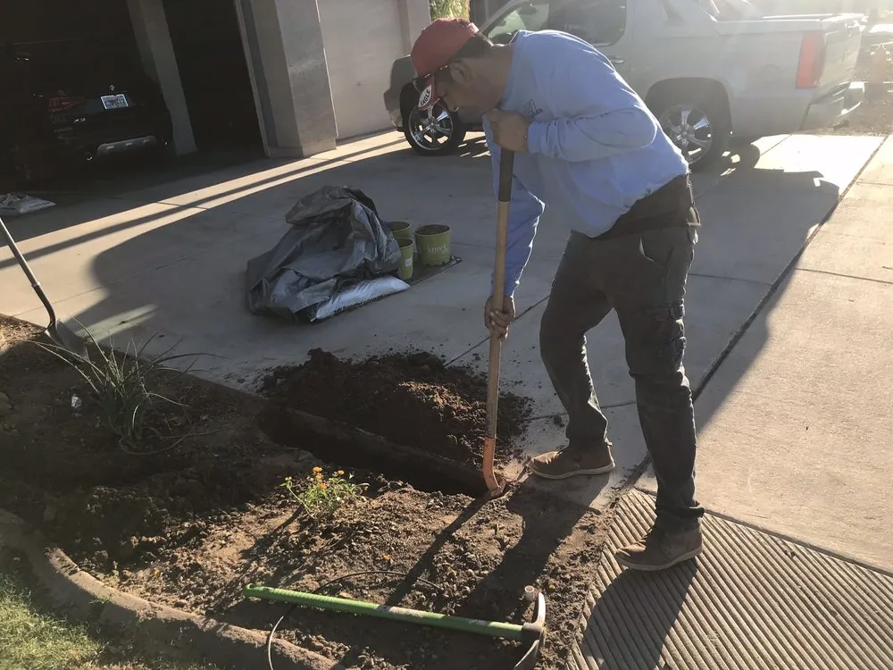 Trusted outdoor landscaping for year-round maintenance in Chandler, AZ by Arizona Home and Landscape