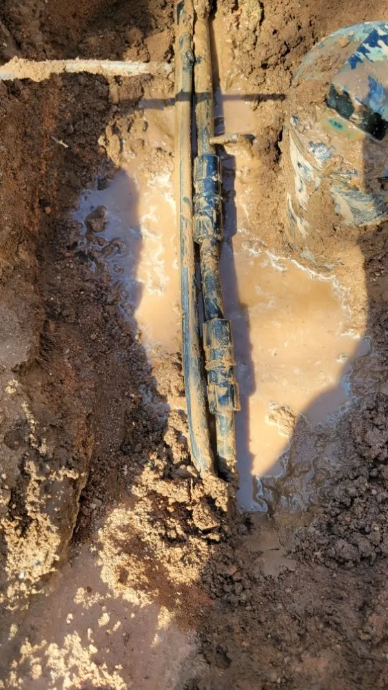 Affordable lawn mowing service experts serving Surprise, AZ - Arizona Homes & Inspections