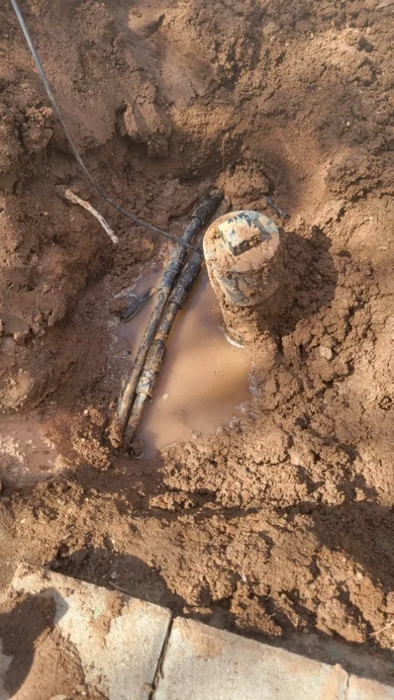 Expert yard maintenance in Surprise, AZ - Arizona Homes & Inspections