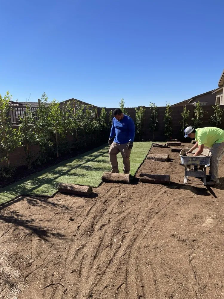 Affordable garden landscaping in Mesa, AZ - Arizona Landscape & Irrigation Solutions