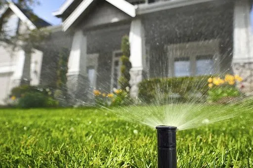 Trusted landscaping services near you across Mesa, AZ - Arizona Landscape & Irrigation Solutions