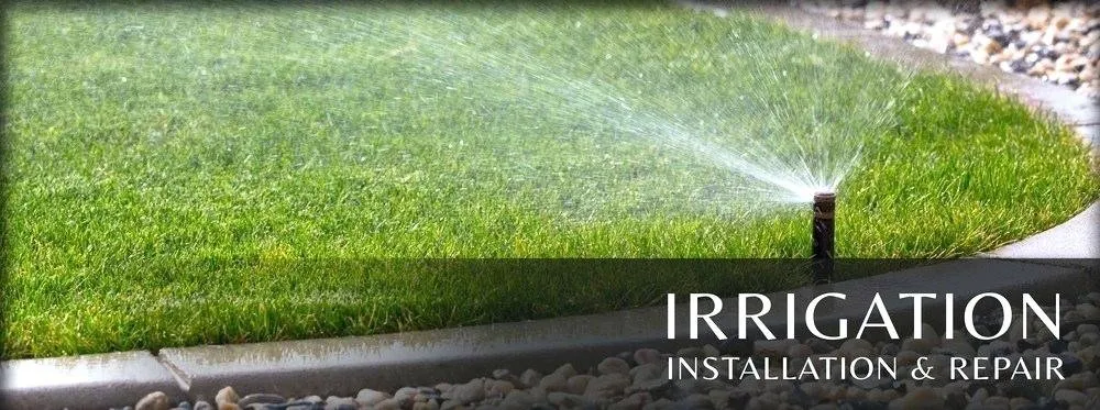 Affordable residential landscaping for residential properties in Mesa, AZ by Arizona Landscape & Irrigation Solutions
