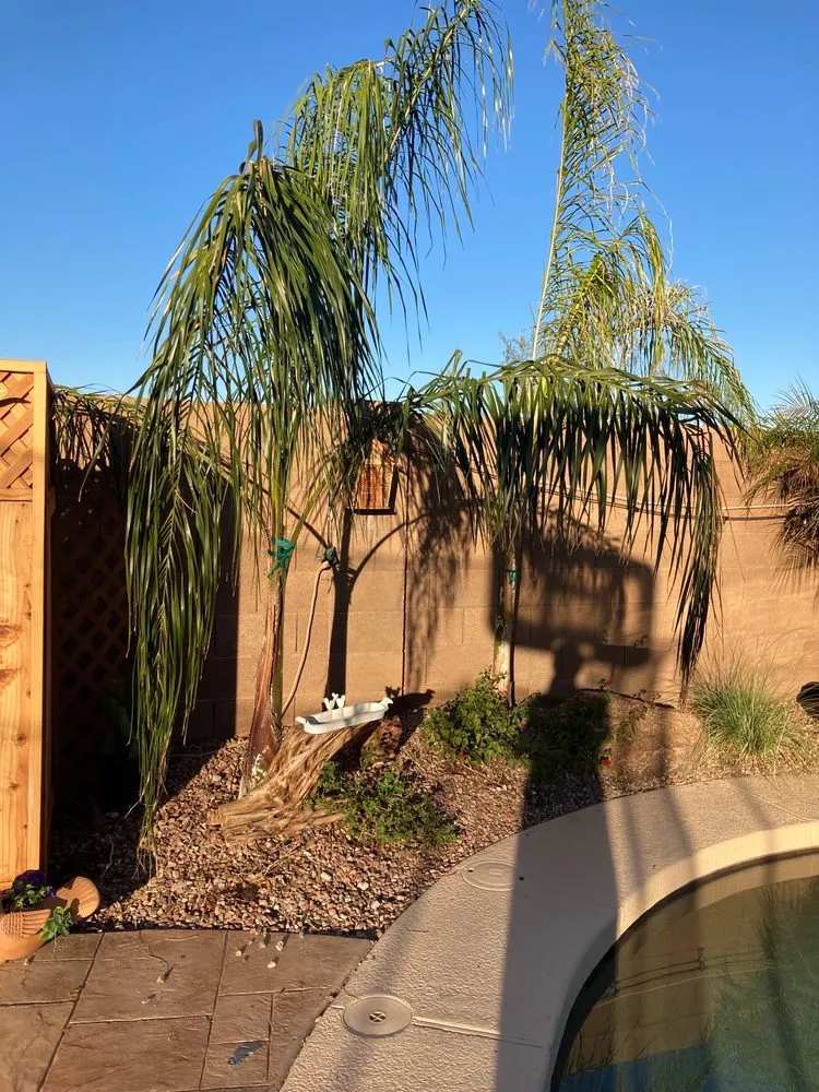 Trusted lawn mowing service near you across Peoria, AZ - Arizona Landscape Design MGM Landscape, Inc.