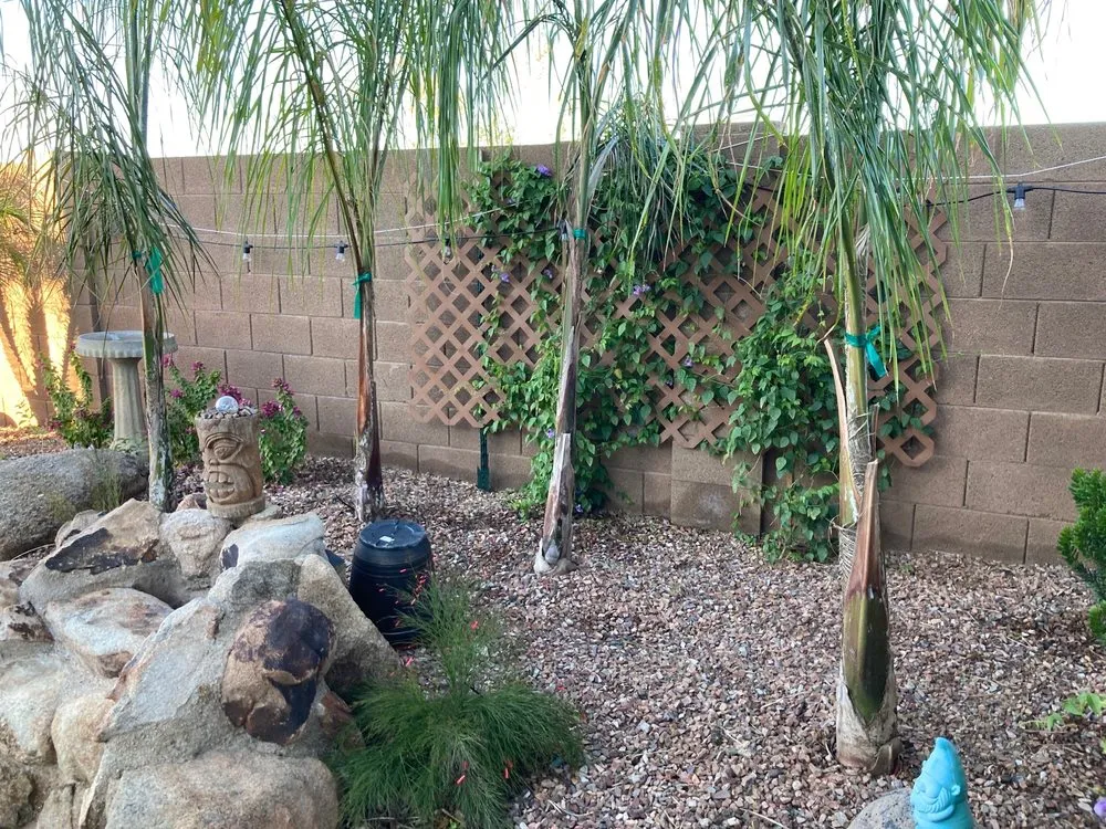 Reliable landscape design for beautiful yards in Peoria, AZ by Arizona Landscape Design MGM Landscape, Inc.