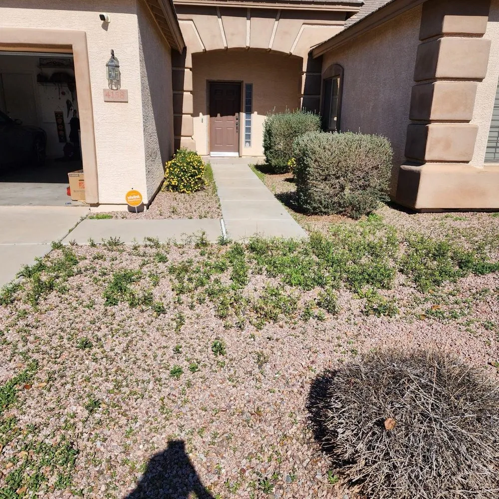 Professional landscape installation in Avondale, AZ by Arizona Landscaping