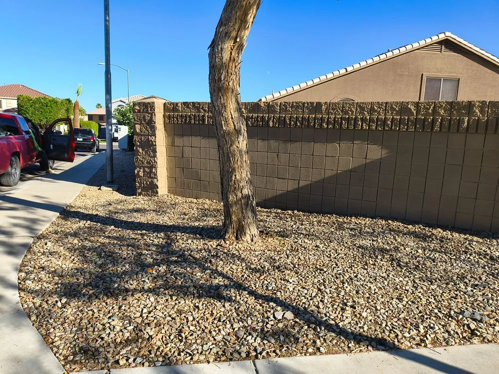 Affordable lawn care service in Avondale, AZ by Arizona Landscaping