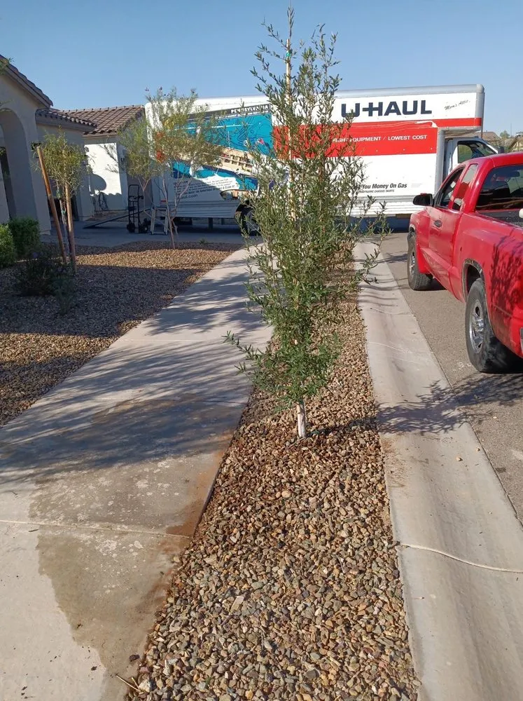 Top-rated lawn mowing service for residential properties in Avondale, AZ by Arizona Landscaping