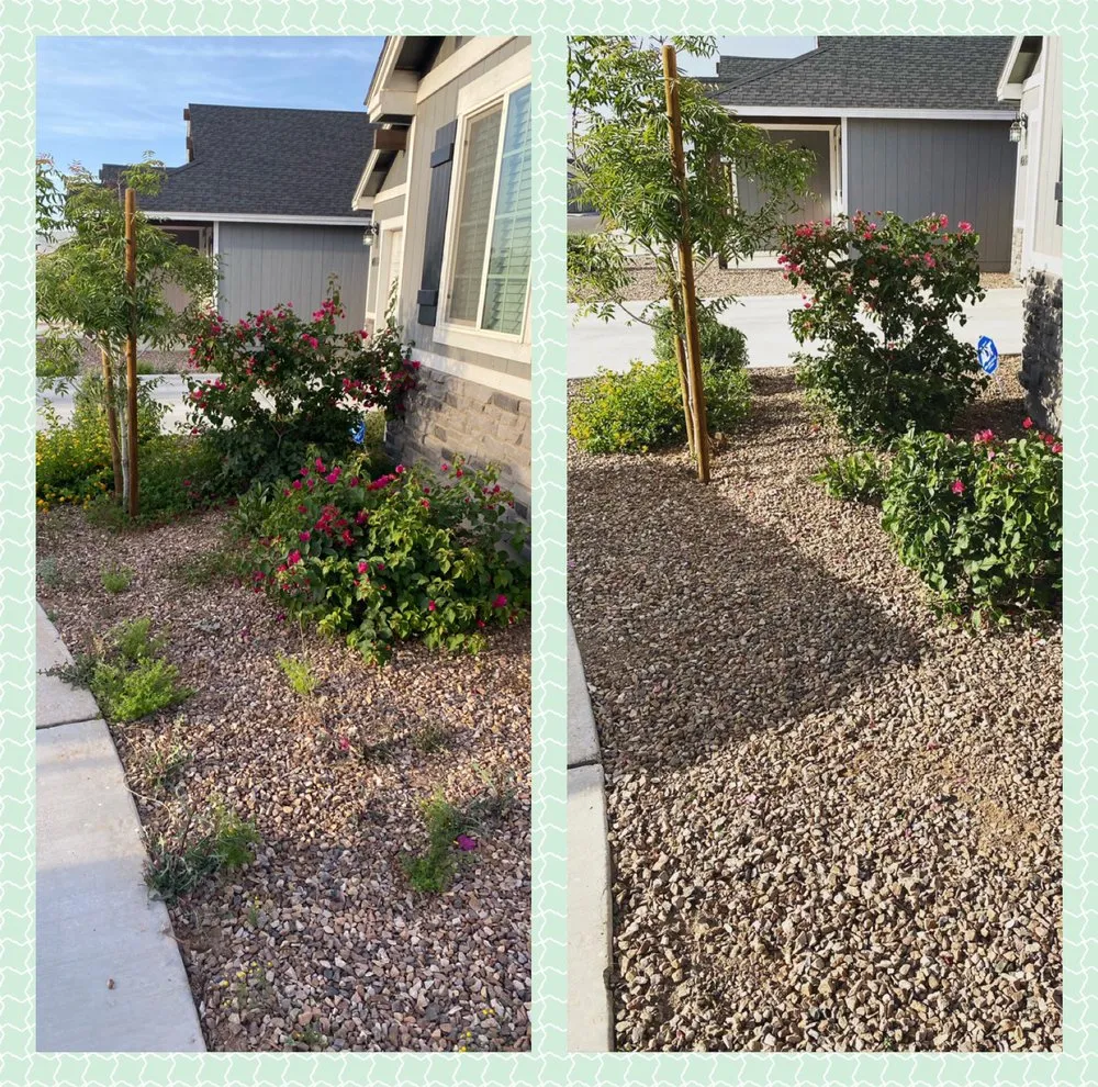 Expert lawn mowing service in Phoenix, AZ - Arizona Landscaping Services