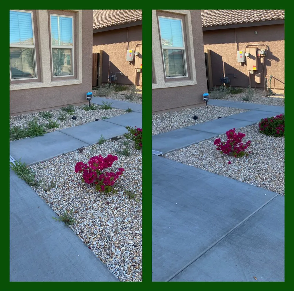 Top-rated lawn mowing service in Phoenix, AZ - Arizona Landscaping Services