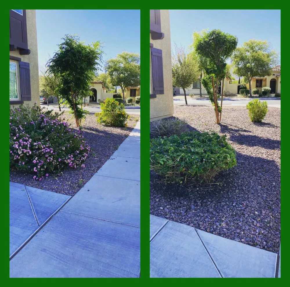 Professional landscaping services in Phoenix, AZ - Arizona Landscaping Services