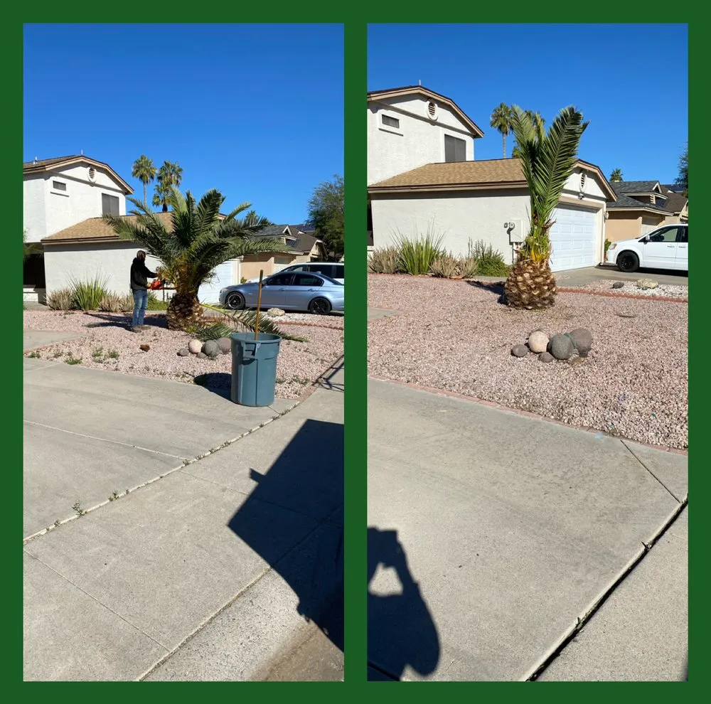 Top-rated landscape design in Phoenix, AZ by Arizona Landscaping Services