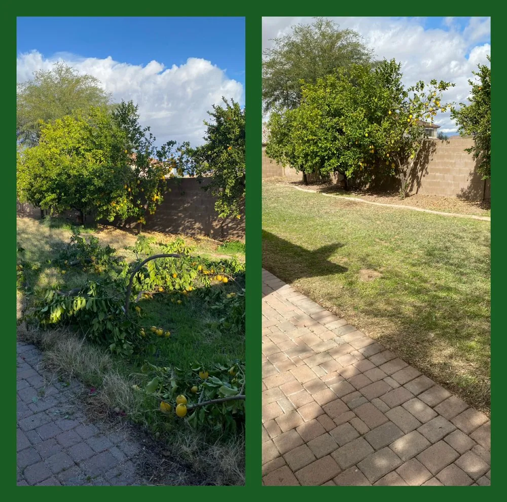 Local outdoor landscaping experts serving Phoenix, AZ - Arizona Landscaping Services