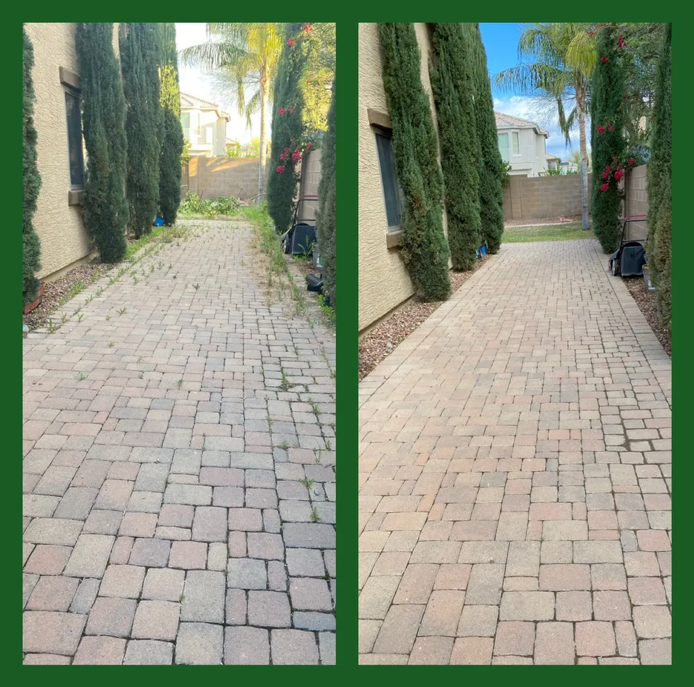Expert yard cleanup service in Phoenix, AZ - Arizona Landscaping Services
