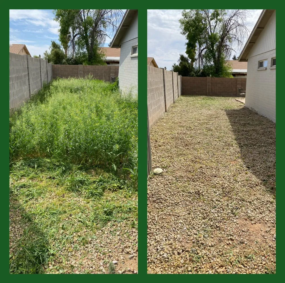 Affordable landscape installation for year-round maintenance across Phoenix, AZ - Arizona Landscaping Services