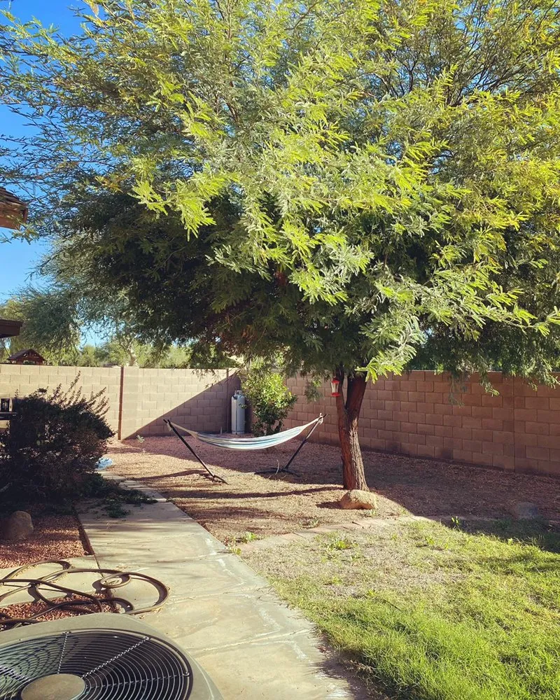 Professional lawn care service in Phoenix, AZ by Arizona Landscaping Services