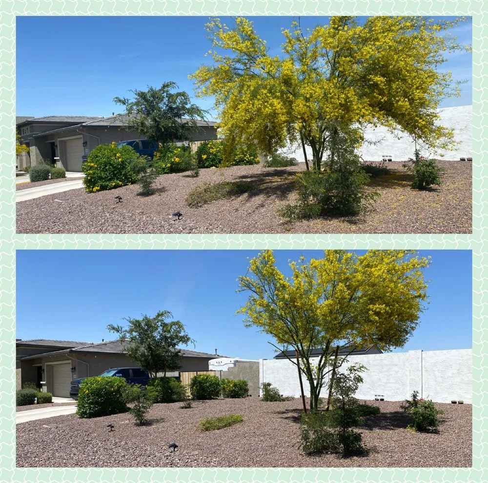 Reliable yard maintenance for homes in Phoenix, AZ by Arizona Landscaping Services