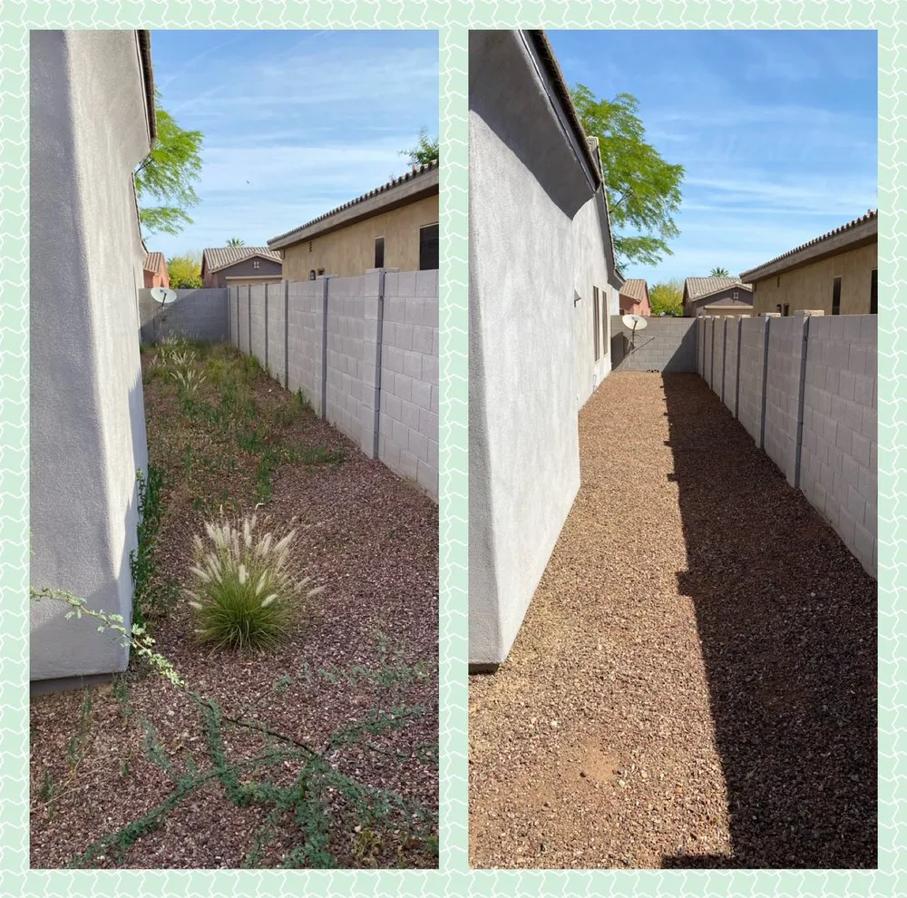 Expert yard cleanup service with custom design across Phoenix, AZ - Arizona Landscaping Services