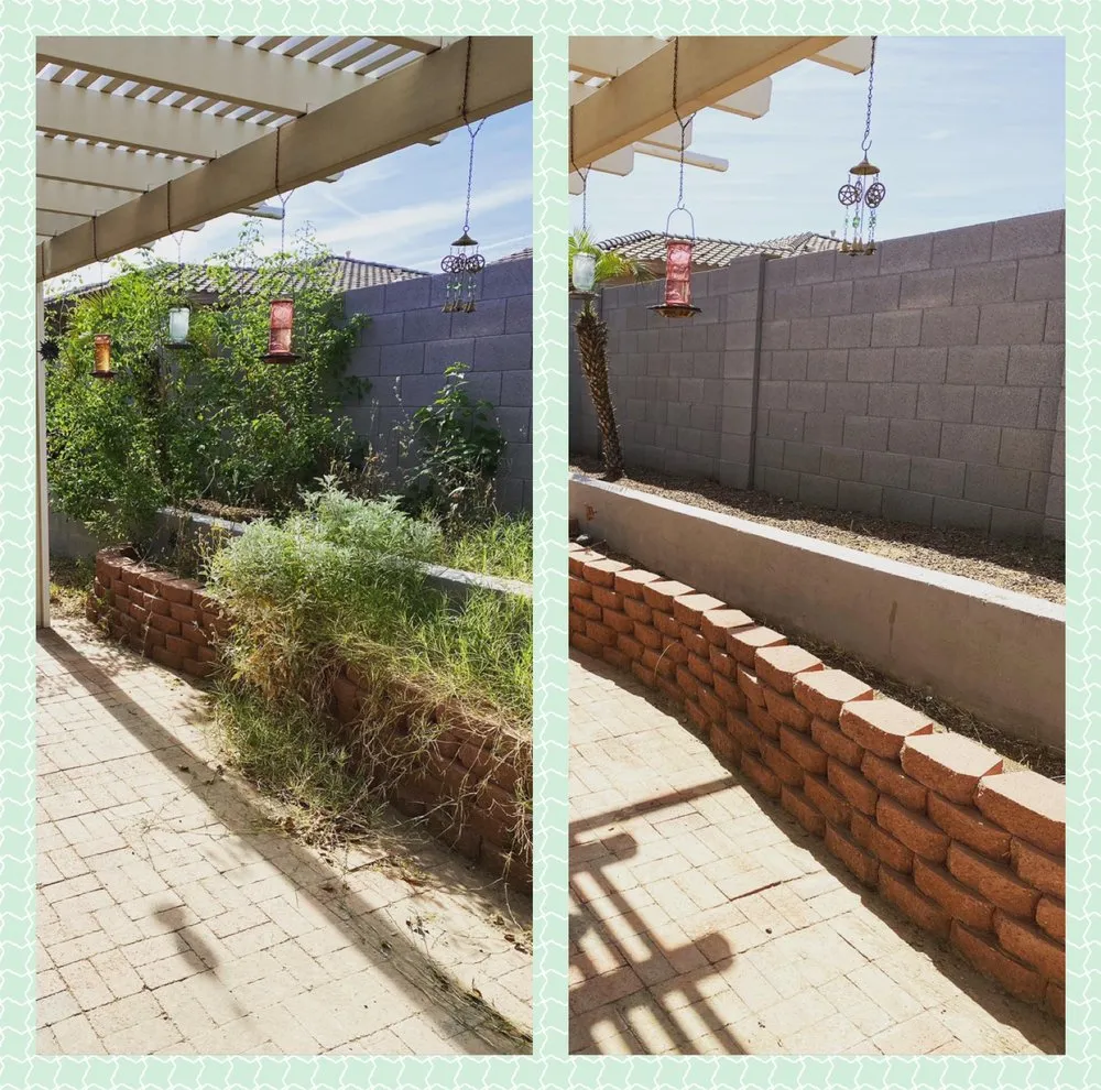 Top-rated lawn care service for year-round maintenance in Phoenix, AZ by Arizona Landscaping Services