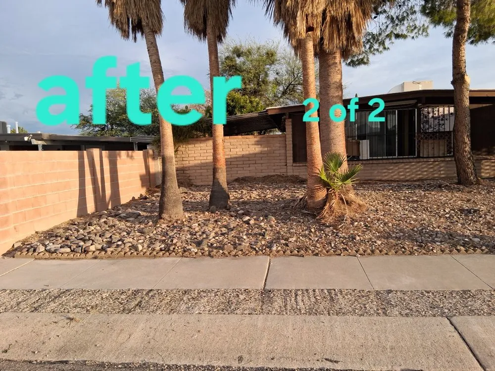 Top-rated landscaping services in Tucson, AZ - Arizona Landscaping