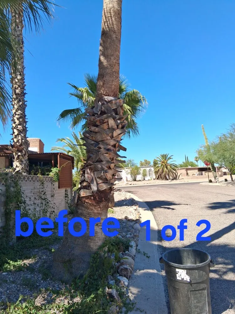 Trusted lawn care service in Tucson, AZ by Arizona Landscaping