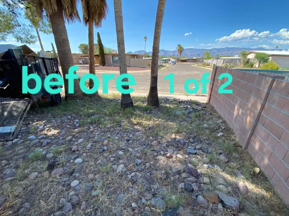 Top-rated lawn care service in Tucson, AZ - Arizona Landscaping