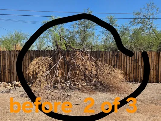 Arizona Landscaping Logo