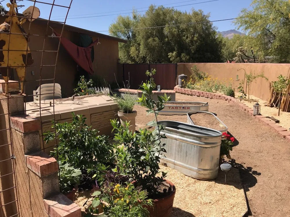 Reliable yard maintenance in Tucson, AZ - Arizona Landshapes