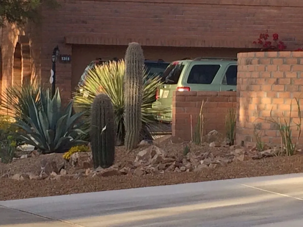 Top-rated landscape design for homes across Tucson, AZ - Arizona Landshapes