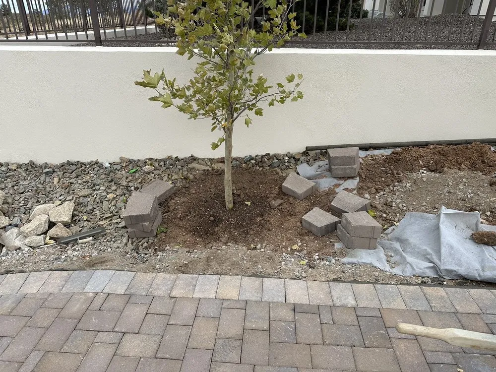 Custom lawn mowing service experts serving Prescott Valley, AZ - Arizona Modern Landscapes