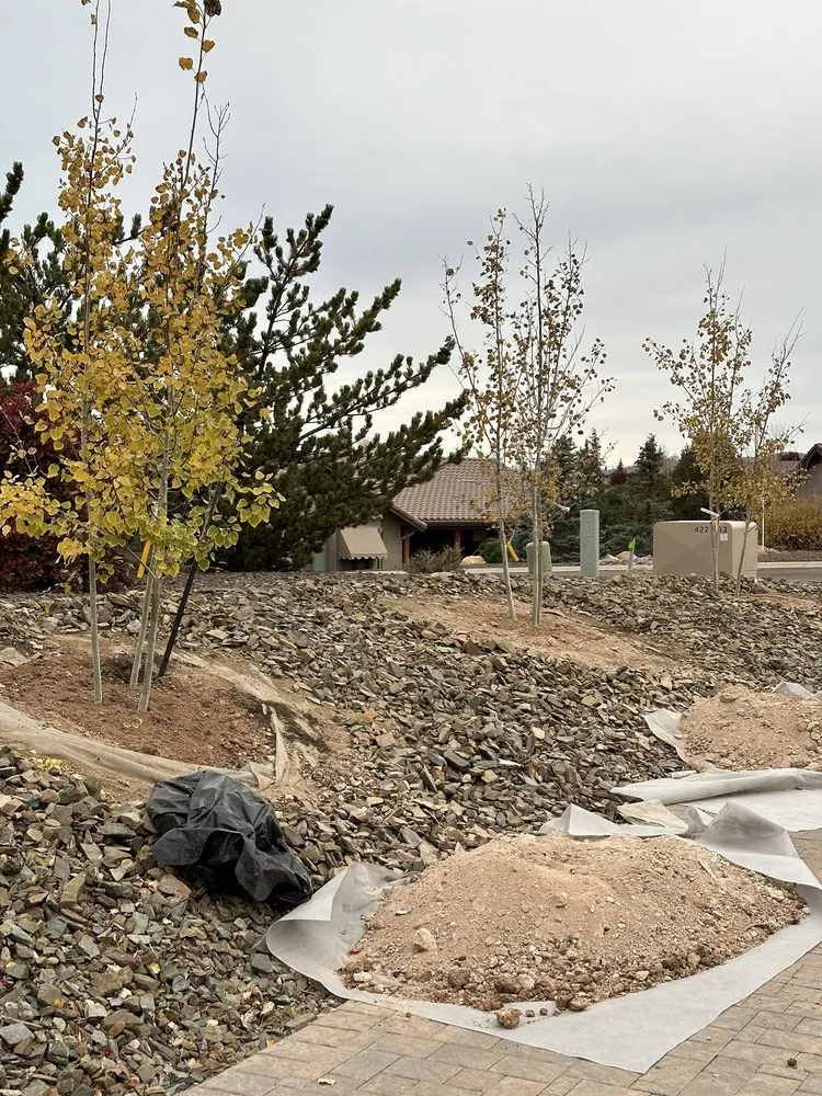 Professional yard cleanup service experts serving Prescott Valley, AZ - Arizona Modern Landscapes