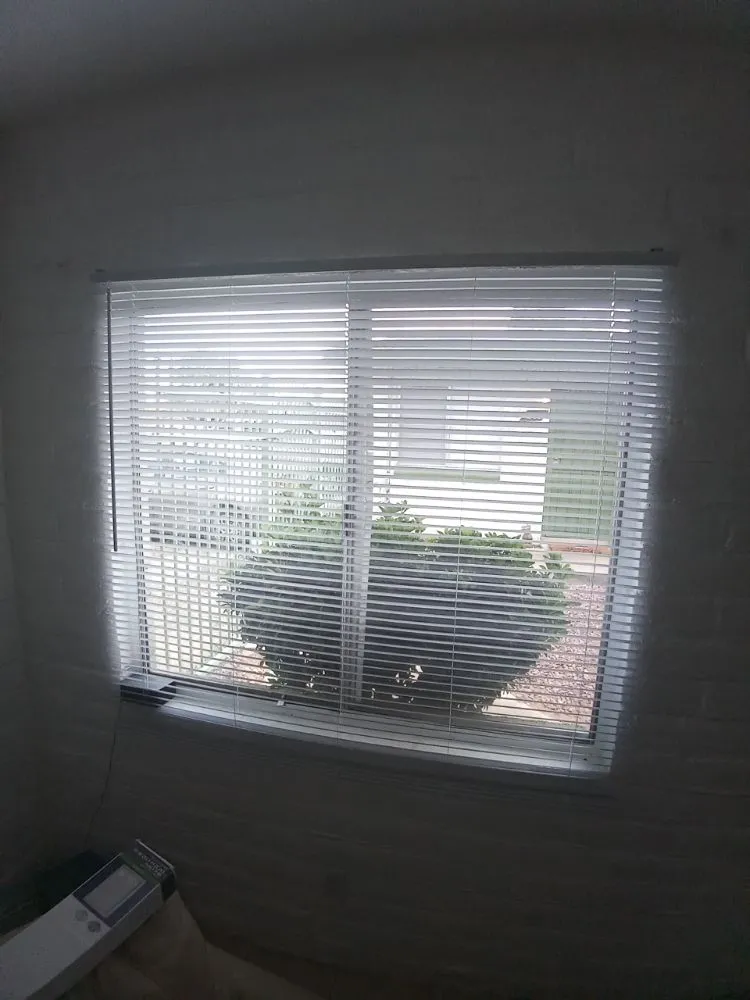 Local lawn mowing service for beautiful yards across Tucson, AZ - Arizona Oasis Landscape and Handyman