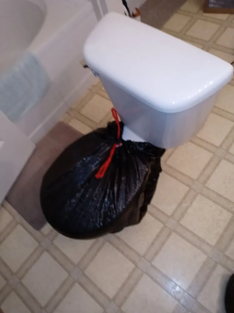 Affordable yard cleanup service in Tucson, AZ by Arizona Oasis Landscape and Handyman