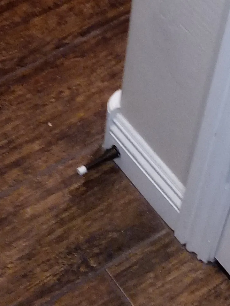 Expert lawn mowing service experts serving Tucson, AZ - Arizona Oasis Landscape and Handyman