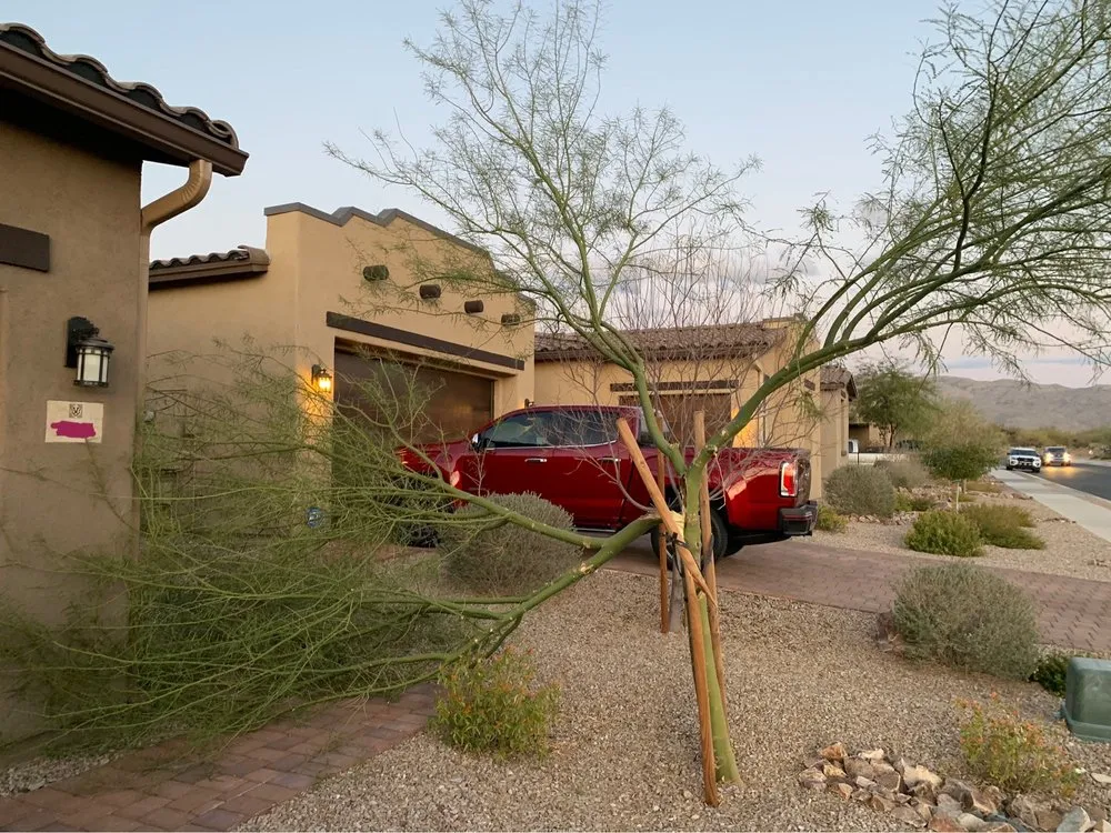 Trusted outdoor landscaping in Tucson, AZ by Arizona Ponds & Landscaping